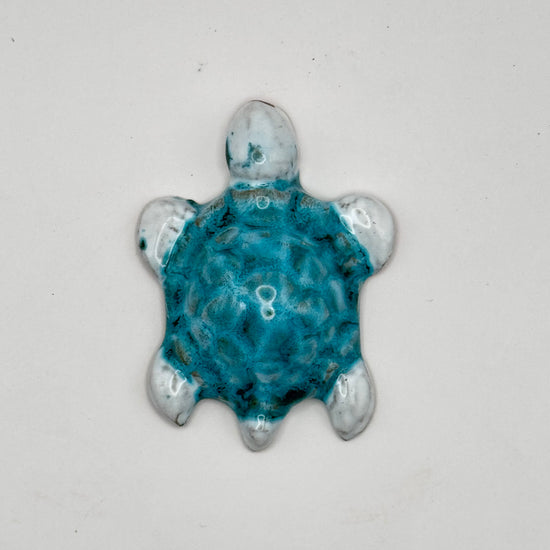 Tartaruga/Schildkröte