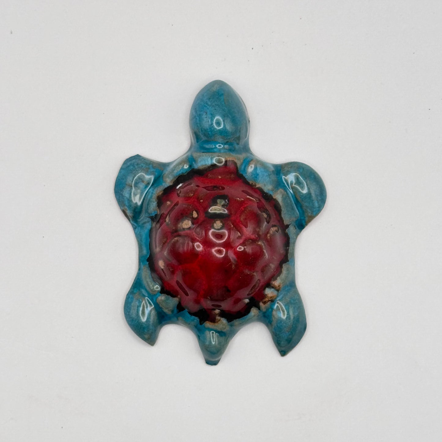 Tartaruga/Schildkröte