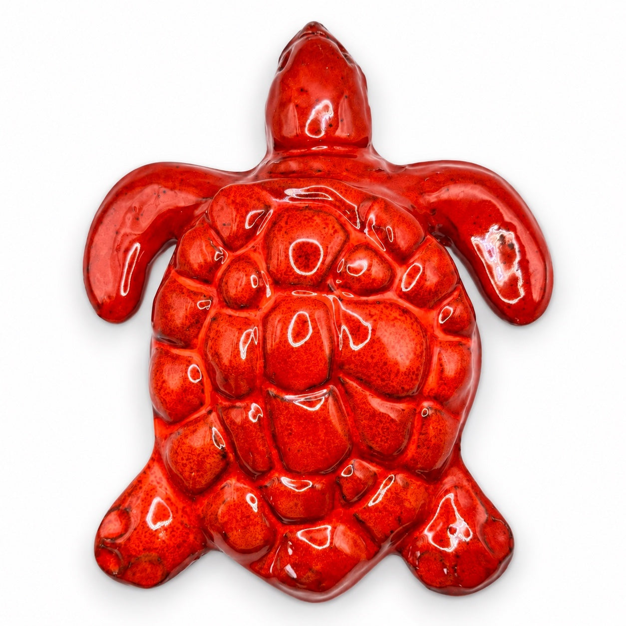 Tartaruga/Schildkröte #2 grande