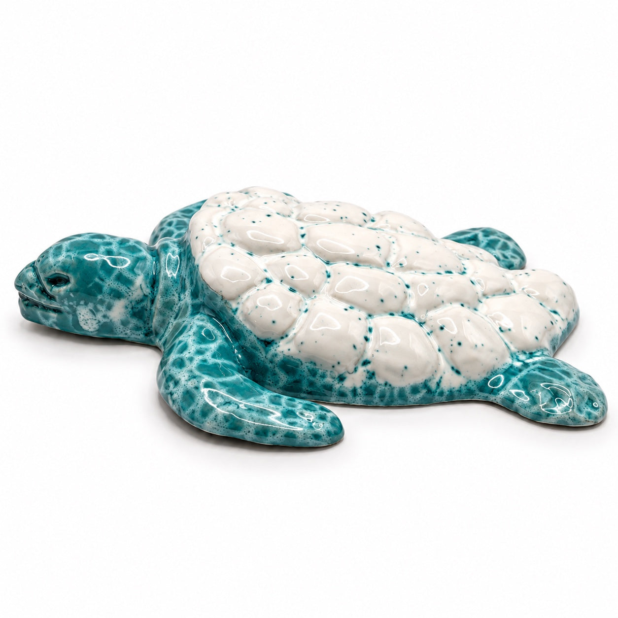 Tartaruga/Schildkröte #3 grande